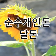 순수개인돈 이용 달돈 사용 대출과 사채의 차이