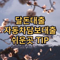 달돈대출 자동차담보대출 쉬운곳 TIP