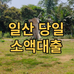 일산 소액대출 일산 비대면소액대출 일산 개인돈 소액대출 일산 월변대출