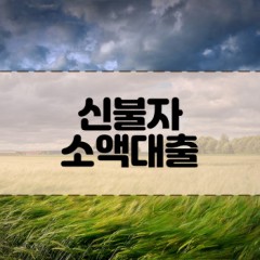 신불자 300만원 개인돈대출 비대면 당일 필요할때