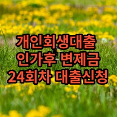 개인회생대출 인가후25회차 개인회생대출 변제금25회차 개인회생중대출 미납금25회차 대출가능한곳