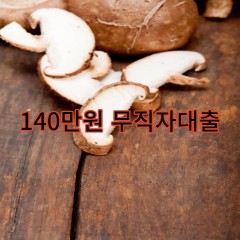 140만원무직자대출 급전 당일 소액 일수 월변