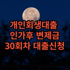 개인회생대출 인가후31회차 개인회생대출 변제금31회차 개인회생중대출 미납금31회차 대출가능한곳