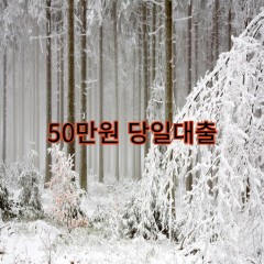 50만원대출 급전 당일 소액 일수 월변