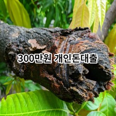 300만원개인돈대출 급전 당일 소액 일수 월변