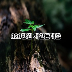 320만원개인돈대출 급전 당일 소액 일수 월변