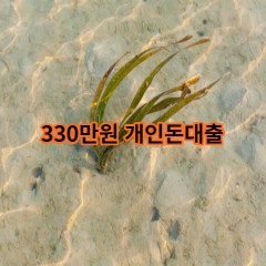 330만원개인돈대출 급전 당일 소액 일수 월변