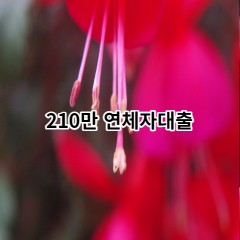 210만원 연체자대출 급전 당일 소액 일수 월변