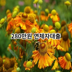 280만원 연체자대출 급전 당일 소액 일수 월변