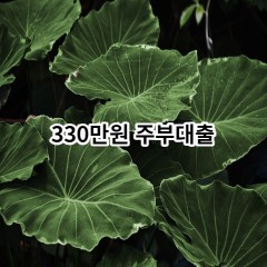 330만원주부대출 급전 당일 소액 일수 월변