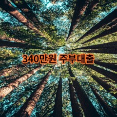 340만원주부대출 급전 당일 소액 일수 월변