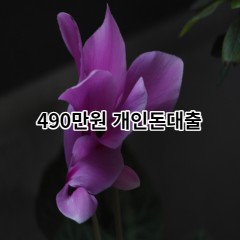 490만원개인돈대출 급전 당일 소액 일수 월변