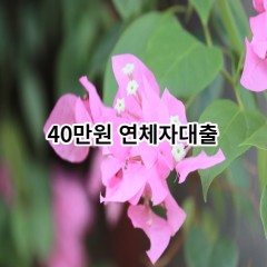 40만원 연체자대출 급전 당일 소액 일수 월변