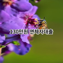 130만원 연체자대출 급전 당일 소액 일수 월변