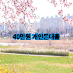 40만원개인돈대출 급전 당일 소액 일수 월변