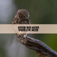 무방문 20만원소액대출 20만원개인돈대출 20만원월변대출 20만원비대면대출 무방문