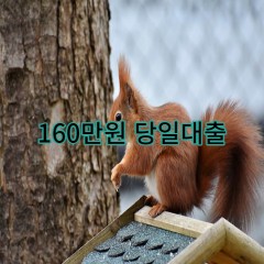 160만원대출 급전 당일 소액 일수 월변