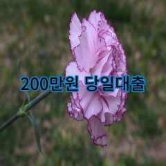 200만원대출 급전 당일 소액 일수 월변