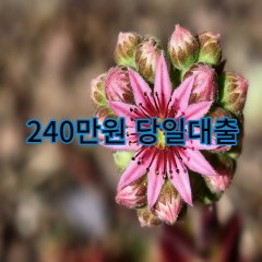 240만원대출 급전 당일 소액 일수 월변