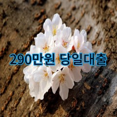 290만원대출 급전 당일 소액 일수 월변