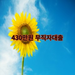 430만원무직자대출 급전 당일 소액 일수 월변