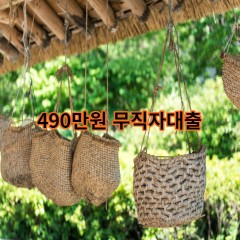 490만원무직자대출 급전 당일 소액 일수 월변