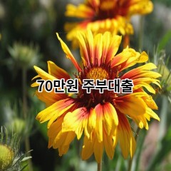 70만원주부대출 급전 당일 소액 일수 월변