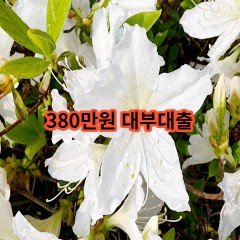 380만원 대부대출 급전 당일 소액 일수 월변