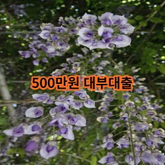 500만원 대부대출 급전 당일 소액 일수 월변