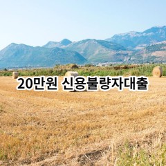 20만원 신용불량자대출 급전 당일 소액 일수 월변