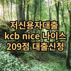 저신용자대출 kcb209점 저신용소액대출 nice209점 저신용비대면대출 나이스209점 신용대출가능한곳