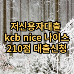 저신용자대출 kcb210점 저신용소액대출 nice210점 저신용비대면대출 나이스210점 신용대출가능한곳