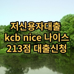 저신용자대출 kcb213점 저신용소액대출 nice213점 저신용비대면대출 나이스213점 신용대출가능한곳