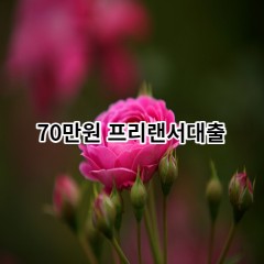 70만원 프리랜서대출 급전 당일 소액 일수 월변