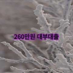 260만원 대부대출 급전 당일 소액 일수 월변