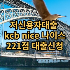 저신용자대출 kcb221점 저신용소액대출 nice221점 저신용비대면대출 나이스221점 신용대출가능한곳