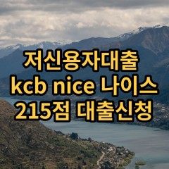 저신용자대출 kcb215점 저신용소액대출 nice215점 저신용비대면대출 나이스215점 신용대출가능한곳