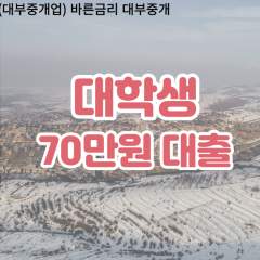 대학생 월변70만원대출 소액70만원대출 개인돈70만원 비대면70만원