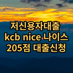 저신용자대출 kcb205점 저신용소액대출 nice205점 저신용비대면대출 나이스205점 신용대출가능한곳