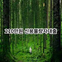 210만원 신용불량자대출 급전 당일 소액 일수 월변