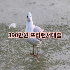 390만원 프리랜서대출 급전 당일 소액 일수 월변