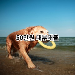 50만원 대부대출 급전 당일 소액 일수 월변