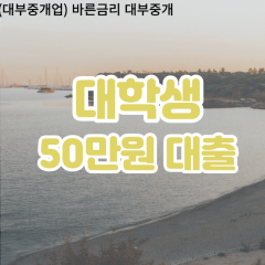 대학생 월변50만원대출 소액50만원대출 개인돈50만원 비대면50만원