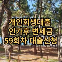 개인회생대출 인가후59회차 개인회생대출 변제금59회차 개인회생중대출 미납금59회차 대출가능한곳