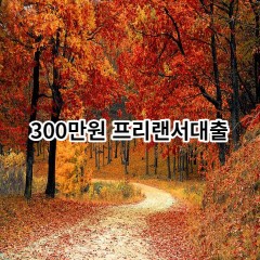 300만원 프리랜서대출 급전 당일 소액 일수 월변