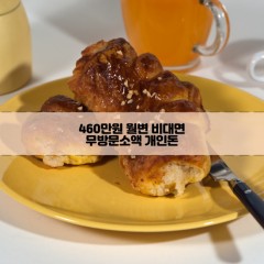 무방문 460만원소액대출 460만원개인돈대출 460만원월변대출 460만원비대면대출 무방문