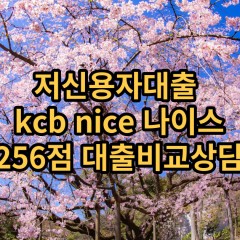 저신용자대출 kcb256점 저신용소액대출 nice256점 저신용비대면대출 나이스256점 신용대출가능한곳