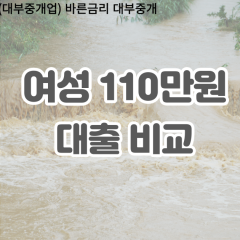 여성 월변110만원대출 소액110만원대출 개인돈110만원 비대면110만원