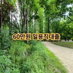 60만원 일용직대출 급전 당일 소액 일수 월변