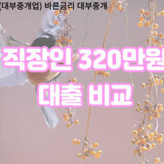 직장인 월변320만원대출 소액320만원대출 개인돈320만원 비대면320만원